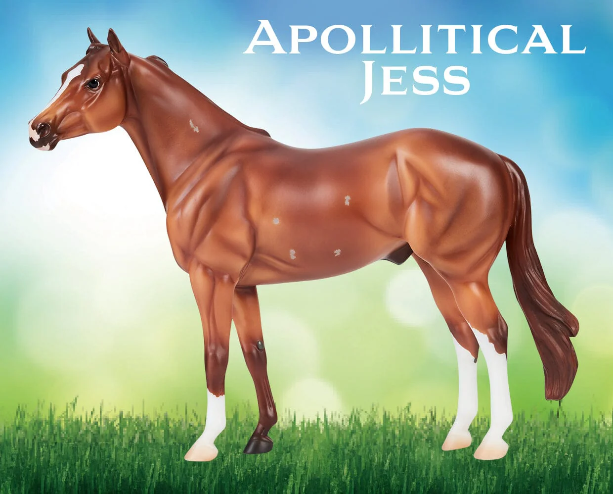 Apollitical Jess | American Quarter Horse Sprinter - Image 5