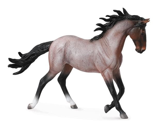 Bay Roan Mustang Mare - Image 3