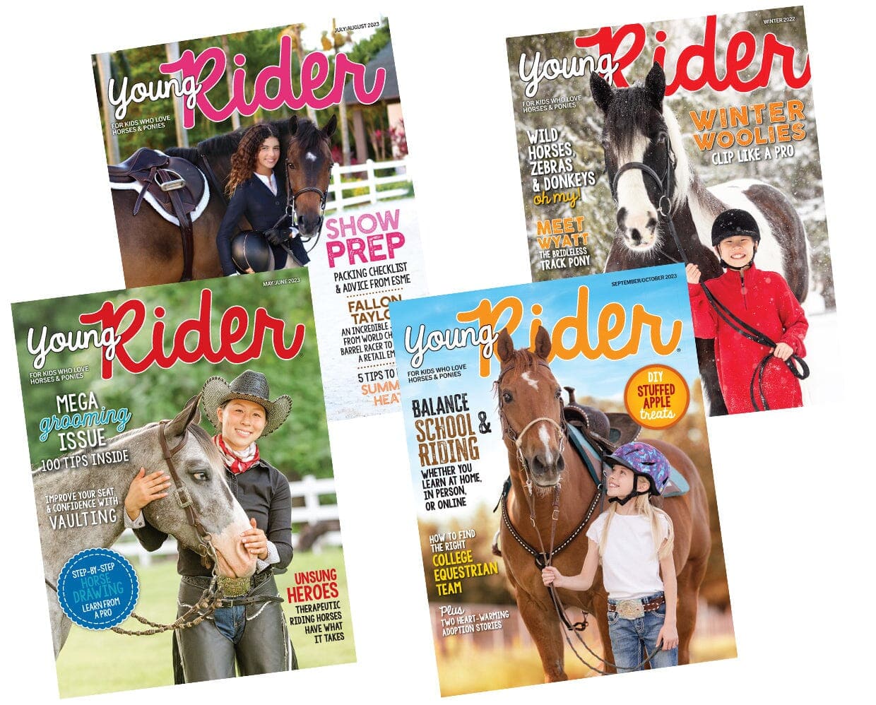 Breyer Kid’s Club Deluxe Membership | Grulla Overo Pinto - Image 7
