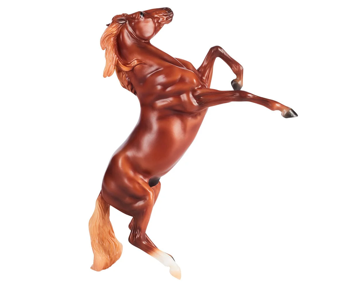 Chestnut Mustang - Image 2