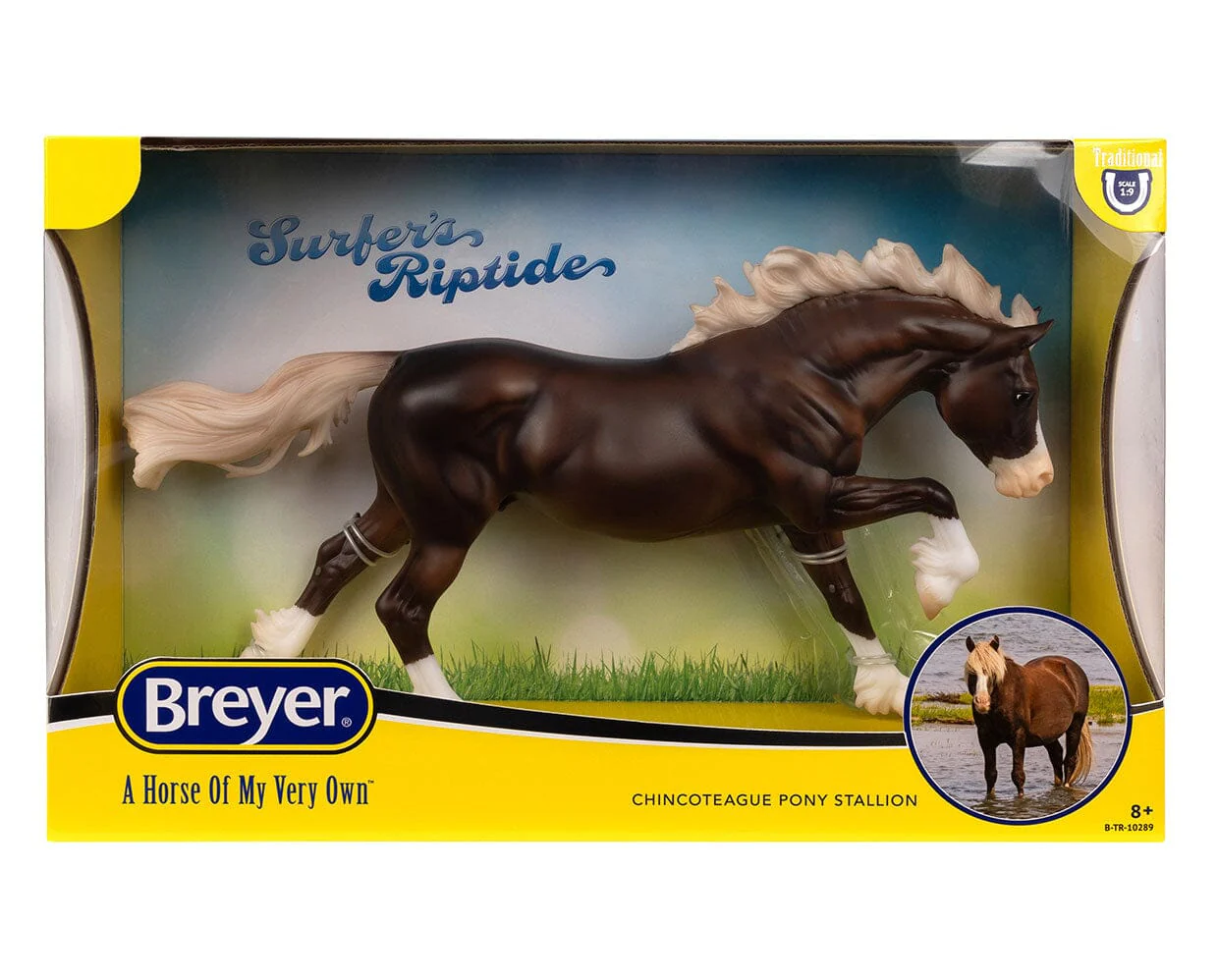 Surfer's Riptide | Chincoteague Pony - Image 4