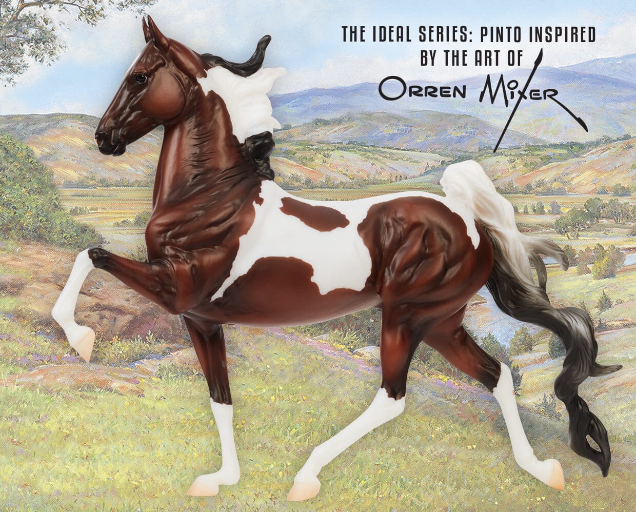 The Ideal Series | Pinto - Image 2