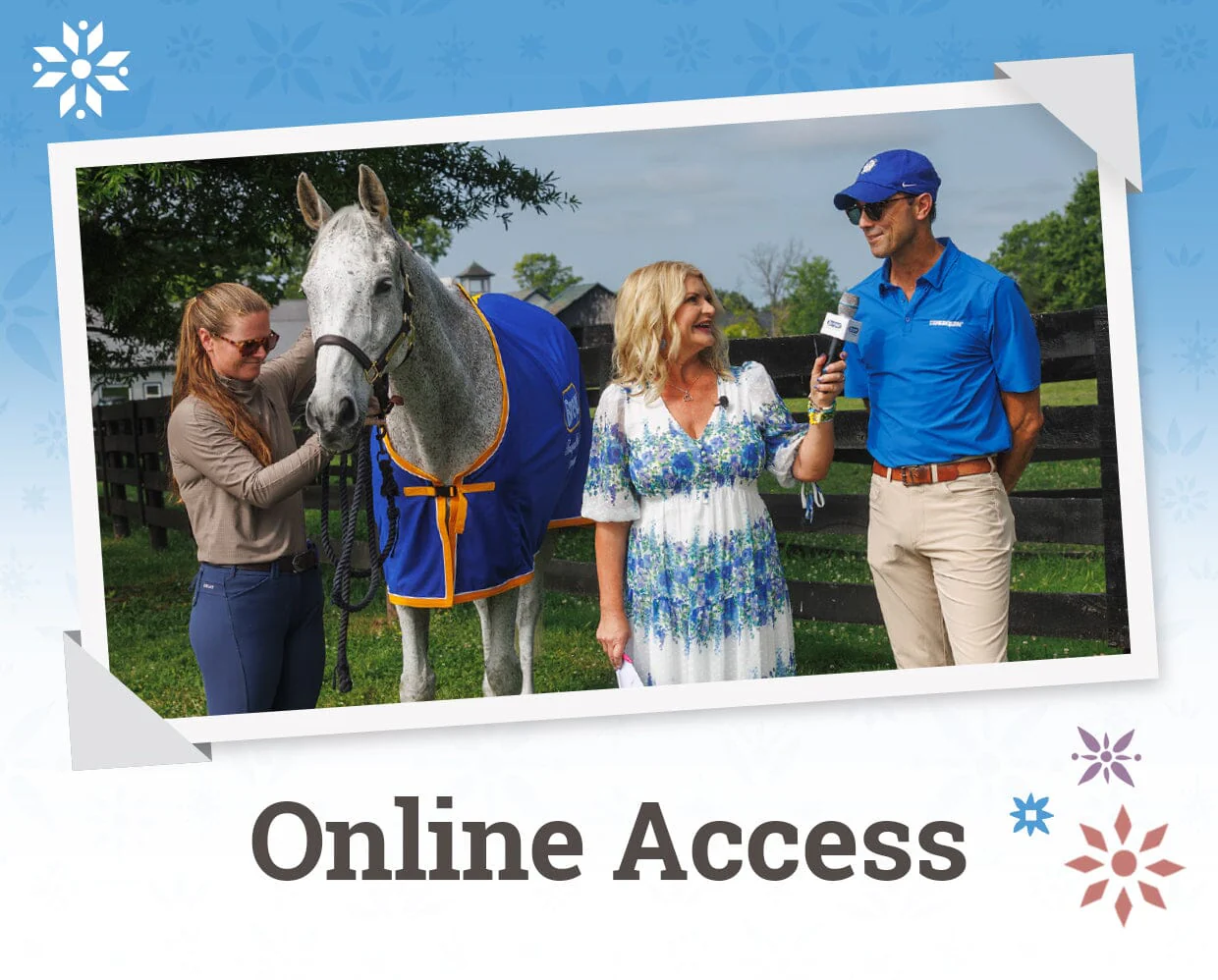 VIP Ticket | BreyerFest 2026 - Image 9
