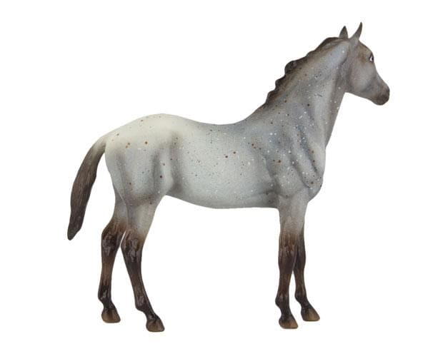 Wild Blue Book and Model Set - Image 7